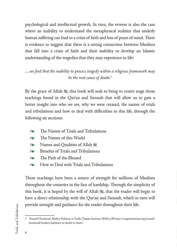 Trials and Tribulations: An Islamic Perspective - Image 6